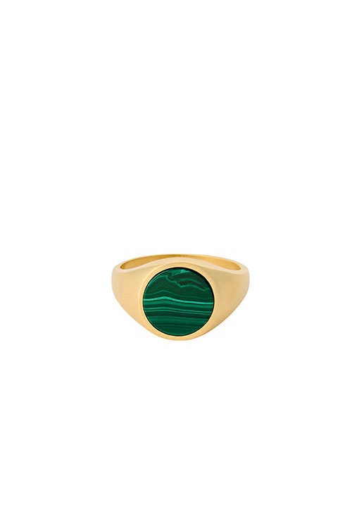 Ring Forest Signet GOLD