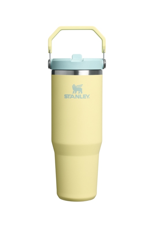 Flip Straw Tumbler 2.0 890ml POMELO