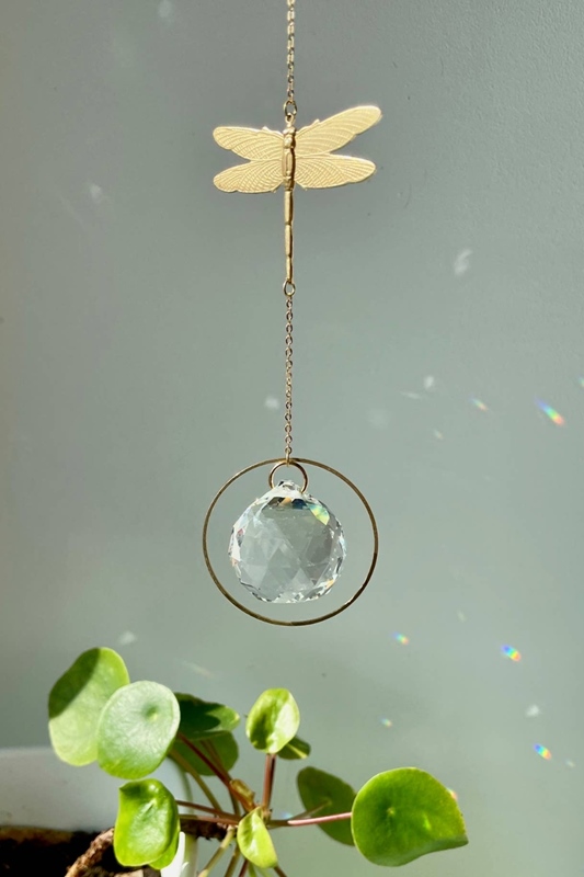 Lichtfnger Libelle Fensterkristall