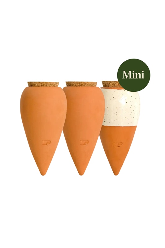Trio Mini Ollas ICONICS