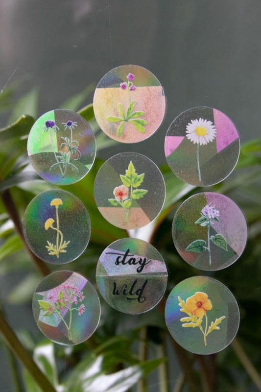 Fenstersticker Regenbogen STAY WILD
