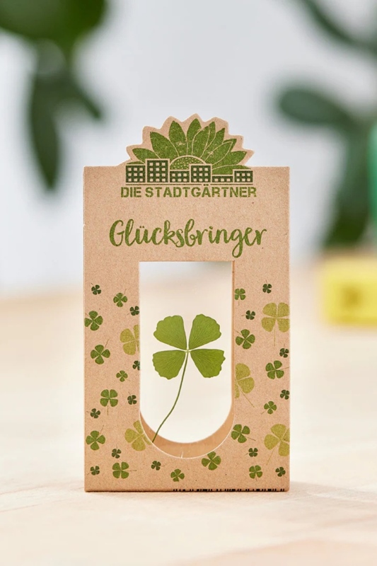 Glcksbringer ECHTES KLEEBLATT