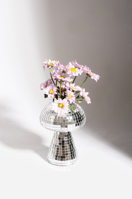 Discovase Pilz